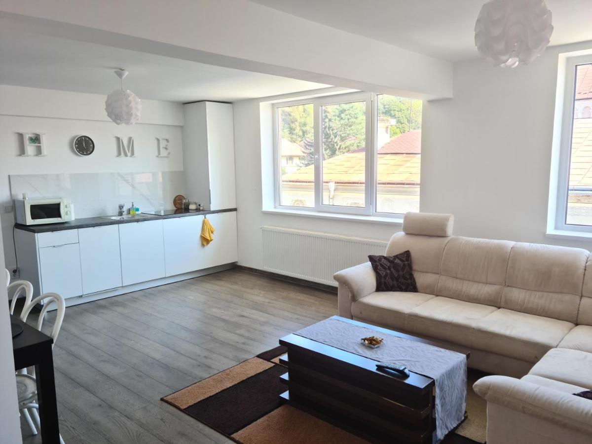 바틀돌니 Apartament In Inima Dornei 아파트 외부 사진